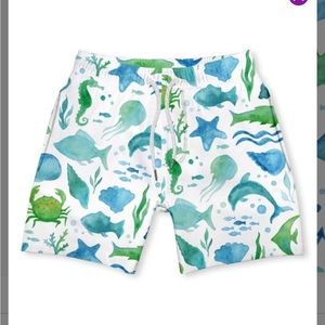 Millie and maxx boys swim trunks. Size 12.